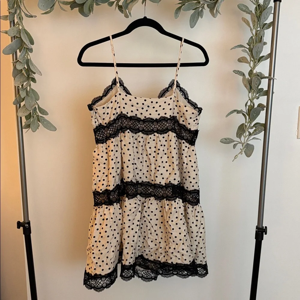 Express Dress - Picture 3 of 3